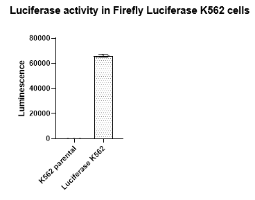 Firefly Luciferase K562 Cell Line – Figure 1 of 2