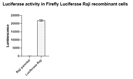 Firefly Luciferase Raji Cell Line – Figure 1 of 2
