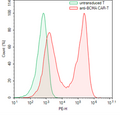 Anti-BCMA CAR-T Cells – Figure 1 of 3