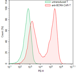Anti-BCMA CAR-T Cells – Figure 1 of 3