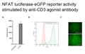 NFAT Luciferase-eGFP Reporter Jurkat Cell Line – Figure 1 of 1