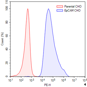 EpCAM CHO Cell Line – Figure 1 of 1