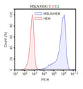 Anti-Mesothelin CAR Lentivirus (P4 ScFv-CD8-4-1BB-CD3ζ) – Figure 1 of 3