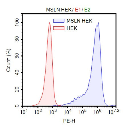 Anti-Mesothelin CAR Lentivirus (P4 ScFv-CD8-4-1BB-CD3ζ) – Figure 1 of 3