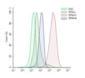 CEACAM5 CHO Cell Line – Figure 1 of 1