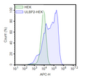 ULBP2 Lentivirus – Figure 1 of 2
