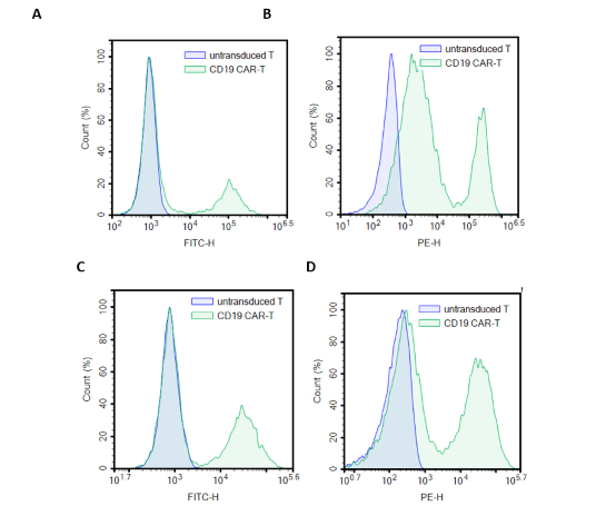 Anti-CD19 CAR Lentivirus (CD19 ScFv-CD8-4-1BB-CD3ζ, eGFP) – Figure 1 of 3