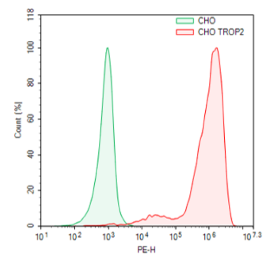 Trop2 Lentivirus (Macaca fascicularis/Cynomolgus) – Figure 1 of 2