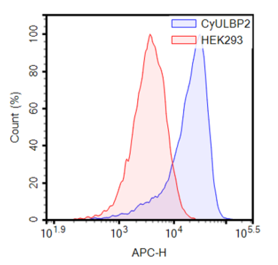ULBP2 Lentivirus (Macaca fascicularis/Cynomolgus) – Figure 1 of 2