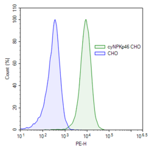 NKp46 Lentivirus (Macaca fascicularis/Cynomolgus) – Figure 1 of 2