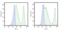 Anti-BCMA CAR Lentivirus (VHH1/VHH2 ScFv-CD8-4-1BB-CD3ζ) – Figure 1 of 3