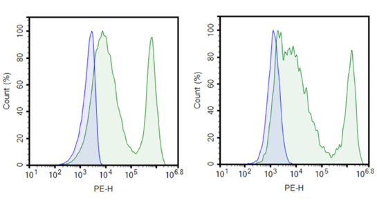 Anti-BCMA CAR Lentivirus (VHH1/VHH2 ScFv-CD8-4-1BB-CD3ζ) – Figure 1 of 3