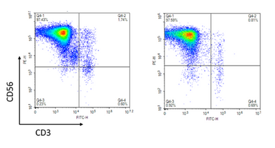 Expanded Human Peripheral Blood NK Cells, Frozen – Figure 1 of 4
