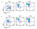 Growth-Arrested NK Feeder Cells – Figure 1 of 4