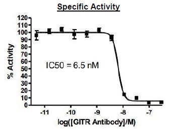 Anti-GITR Agonist Antibody – Figure 1 of 1