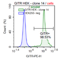 GITR - HEK293 Recombinant Cell Line – Figure 1 of 1