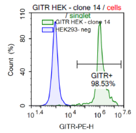 GITR - HEK293 Recombinant Cell Line – Figure 1 of 1