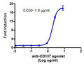 Anti-CD137 Agonist Antibody – Figure 1 of 1