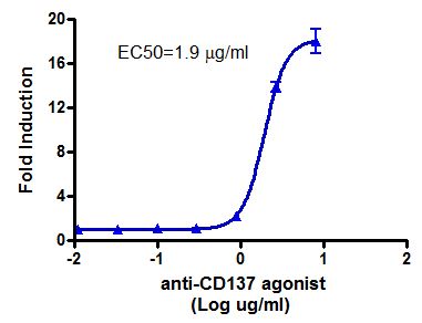 Anti-CD137 Agonist Antibody – Figure 1 of 1