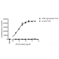 Anti-Tim3 Antibody – Figure 1 of 2