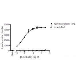 Anti-Tim3 Antibody – Figure 1 of 2