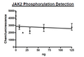 JAK2 (V617F) (JH1, JH2 Domain), GST-Tag, Avi-Tag, Biotin-Labeled (Dephosphorylated) Recombinant – Figure 1 of 2