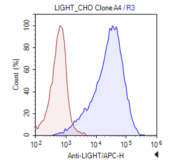 LIGHT-CHO Recombinant Cell Line – Figure 1 of 1