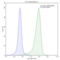 CD137 (4-1BB) /NF-κB Reporter - HEK293 Recombinant Cell Line – Figure 1 of 2