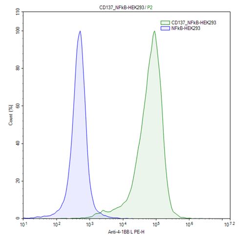CD137 (4-1BB) /NF-κB Reporter - HEK293 Recombinant Cell Line – Figure 1 of 2