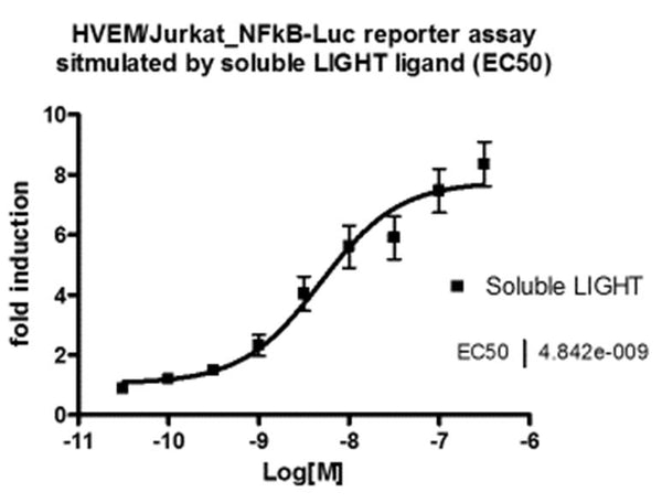 LIGHT-Responsive HVEM/NF-κB Reporter Jurkat Cell Line – Figure 1 of 5
