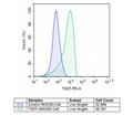 TIGIT - HEK293 Recombinant Cell Line – Figure 1 of 1