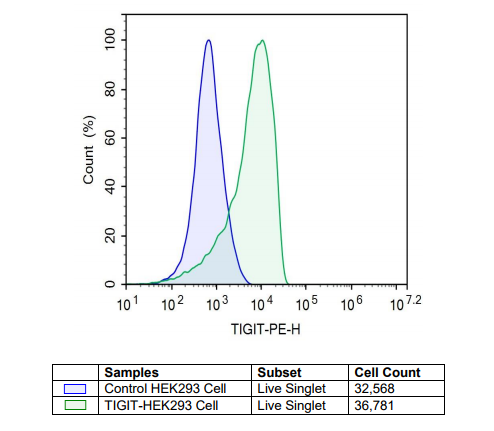 TIGIT - HEK293 Recombinant Cell Line – Figure 1 of 1