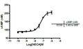 Adenosine A2A Receptor Functional HEK293 Cell Line – Figure 1 of 5