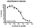 VEGFR2 / NFAT Reporter - HEK293 Recombinant Cell Line – Figure 1 of 6