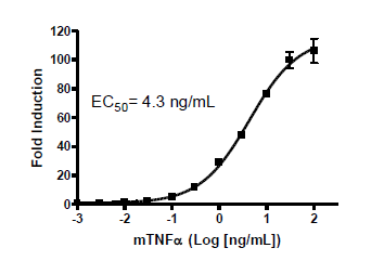 NF-κB Reporter (Luc) - NIH/3T3 Cell line – Figure 1 of 3