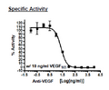 Anti-VEGF Neutralizing Antibody – Figure 1 of 1