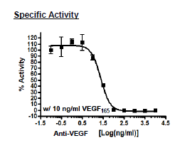 Anti-VEGF Neutralizing Antibody – Figure 1 of 1