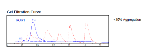 ROR1, Fc-Fusion (IgG1), Avi-Tag, Biotin-Labeled Recombinant – Figure 1 of 2