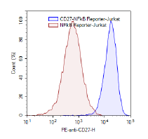 CD27/NF-kB Reporter-Jurkat Recombinant Cell Line – Figure 1 of 4