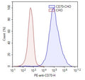 CD70-CHO Recombinant Cell line – Figure 1 of 1