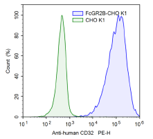 FcGR2B CHO K1 Recombinant Cell Line – Figure 1 of 3