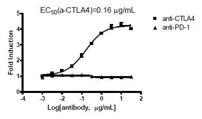 CTLA4 / IL-2 Reporter - Jurkat Recombinant Cell Line – Figure 1 of 3