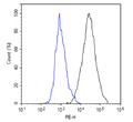 CD22 CHO Recombinant Cell Line – Figure 1 of 1