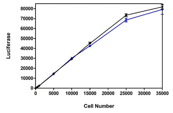 Firefly Luciferase - CHO Recombinant Cell Line – Figure 1 of 1
