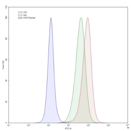 CD37/CHO Recombinant Cell Line – Figure 1 of 1
