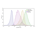 ROR1-CHO Recombinant Cell Line – Figure 1 of 1