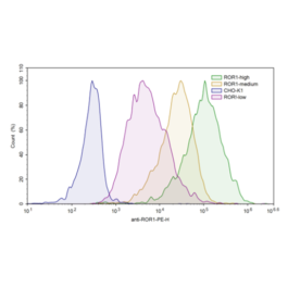 ROR1-CHO Recombinant Cell Line – Figure 1 of 1