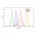 ERBB2-CHO Recombinant Cell Line – Figure 1 of 1