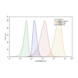 ERBB2-CHO Recombinant Cell Line – Figure 1 of 1