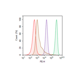 CD38 - CHO Recombinant Cell Line – Figure 1 of 1